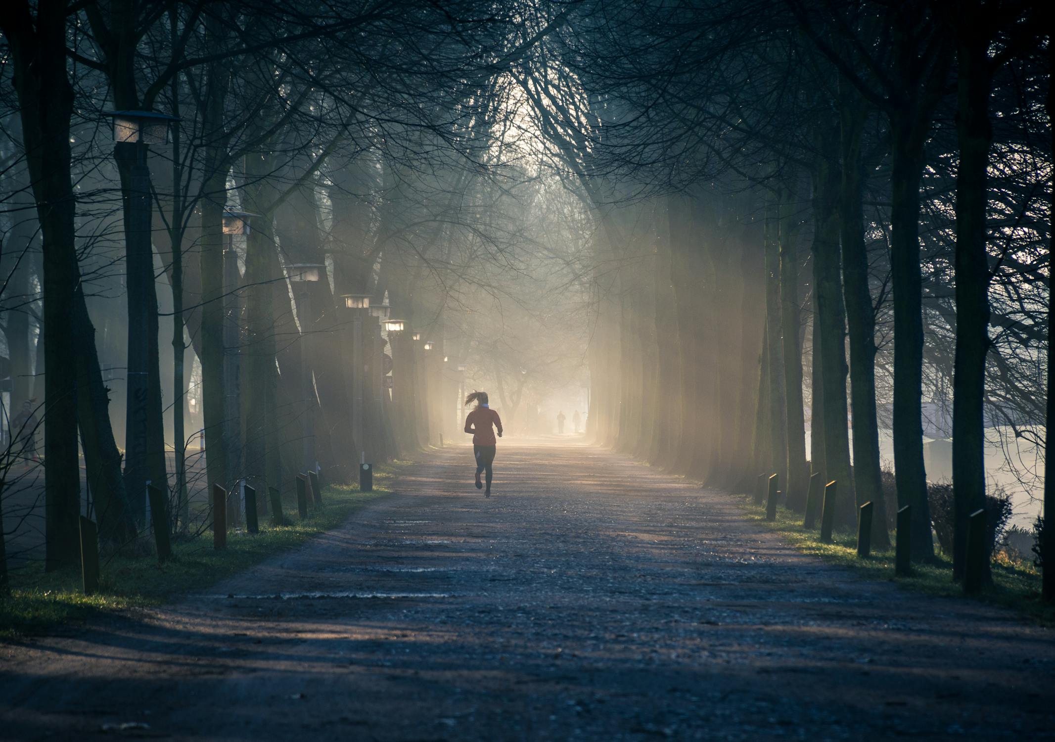 How Can I Improve My Physical Health? A Holistic Guide