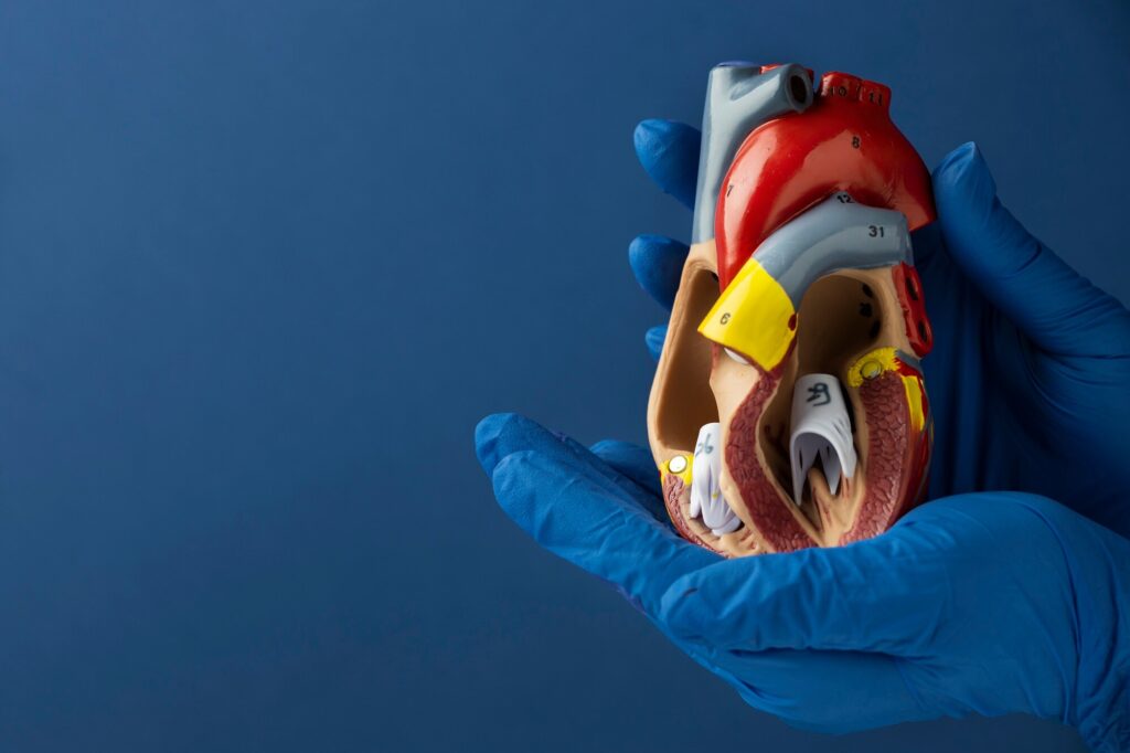 Does Weight Training Improve Cardiorespiratory Fitness?