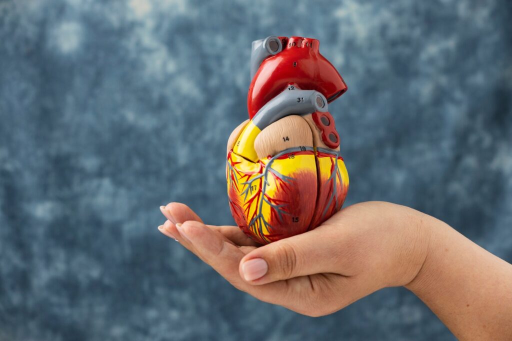 What is an Example of Cardiorespiratory Fitness?
