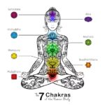 Surya Namaskar: The Ancient Yoga Sequence That Transforms Your Body, Mind, and Spirit